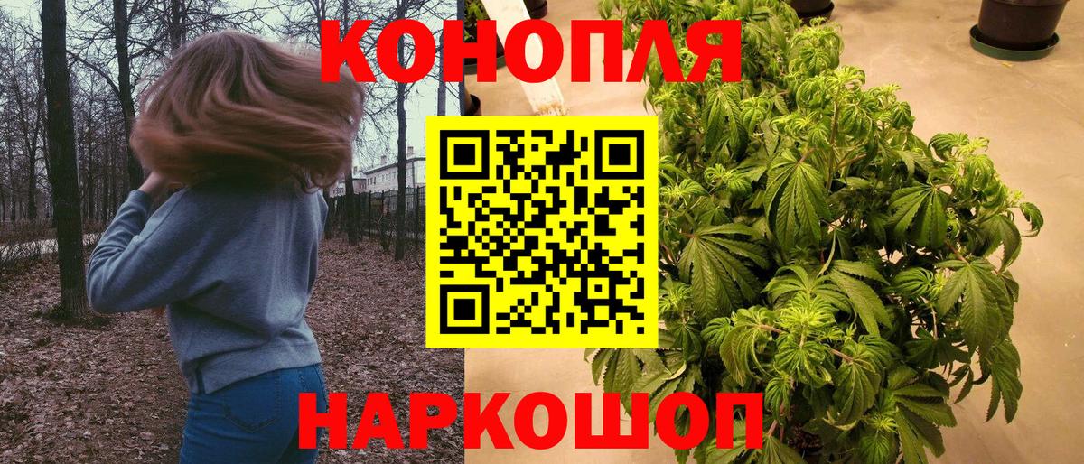 Конопля AK-47 Шарыпово